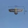 Papalote figura águila